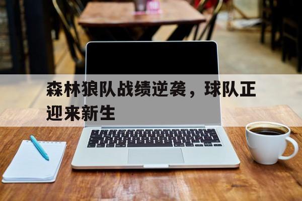 森林狼队战绩逆袭,球队正迎来新生的简单介绍